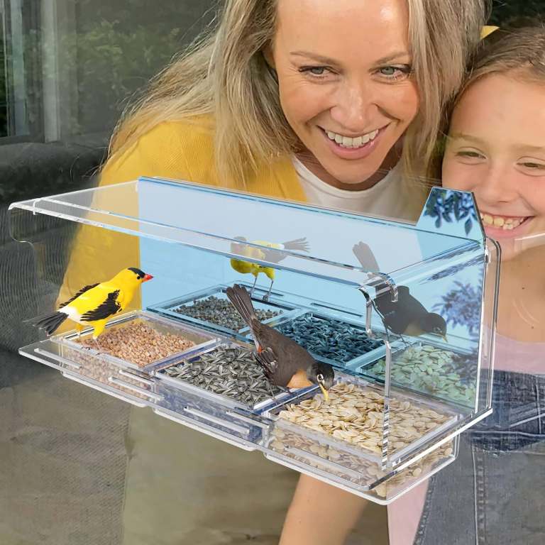 Brand New Bird Feeder