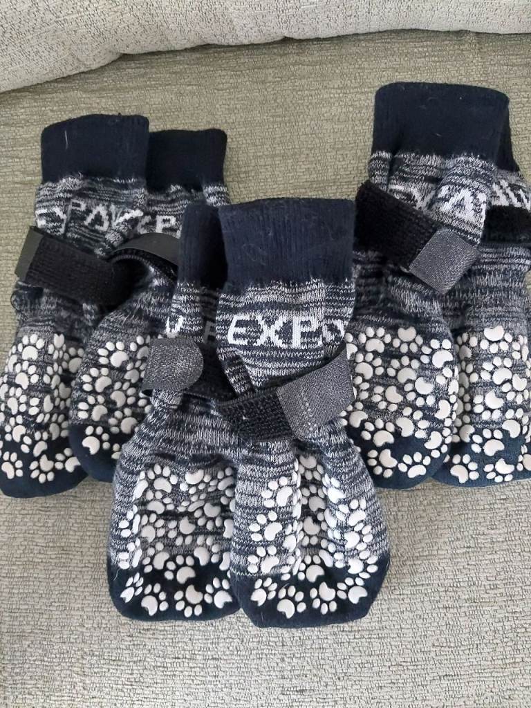 Dog Socks 