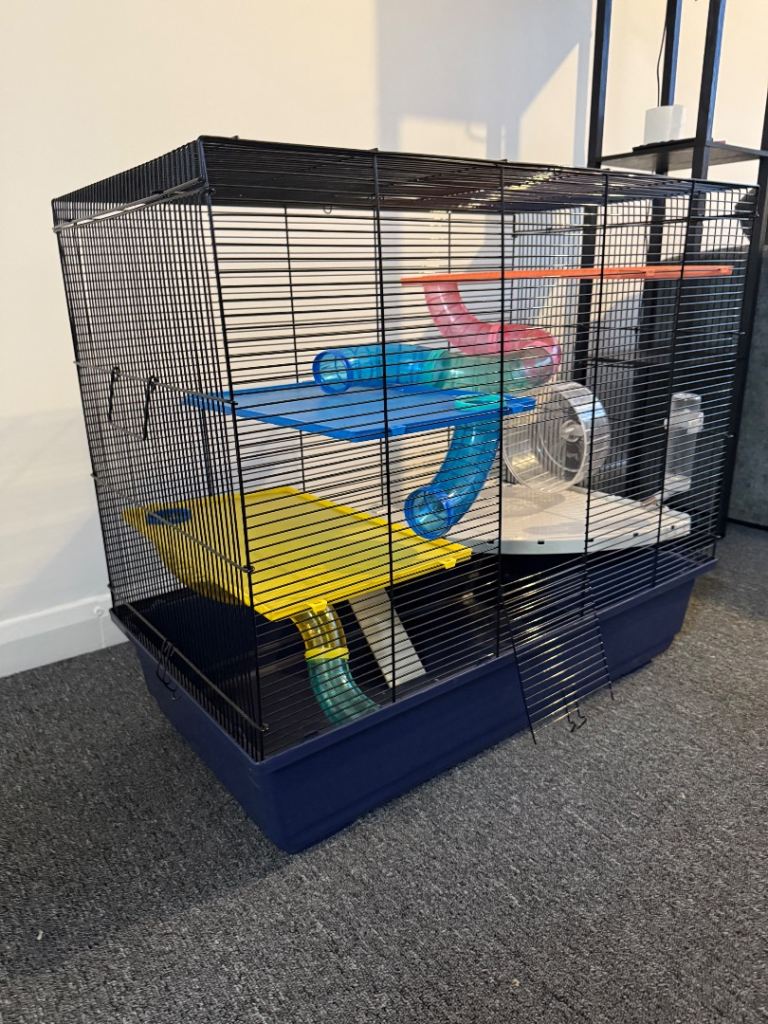Large hamster change £10, just want it gone asap