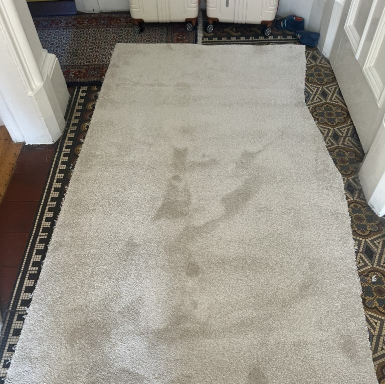 brand new of cut piece of carpet 