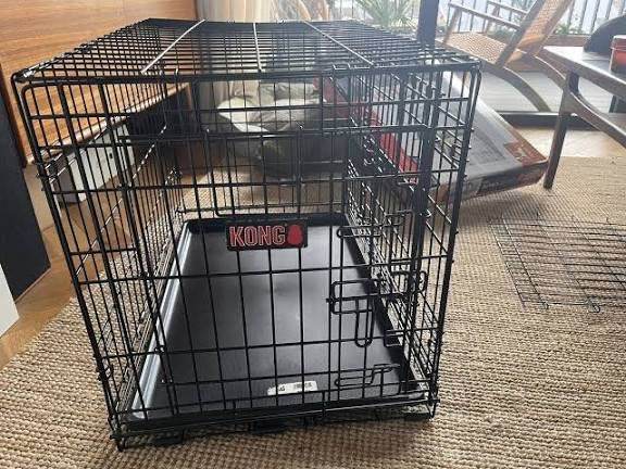 Kong dog crate and playpen