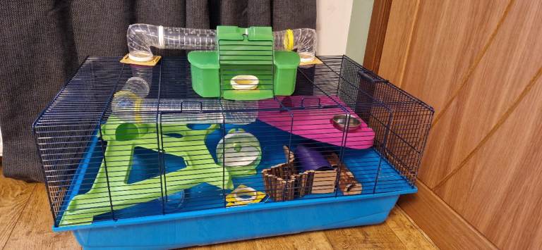 Hamster cage