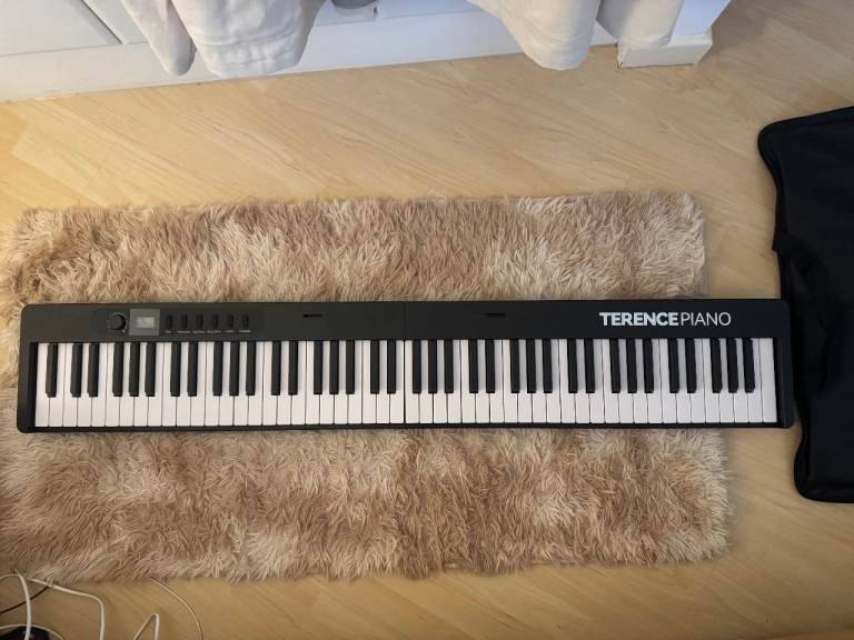 Portable Full-sized Piano/Keyboard, 88 weighted keys (Terrance Piano)