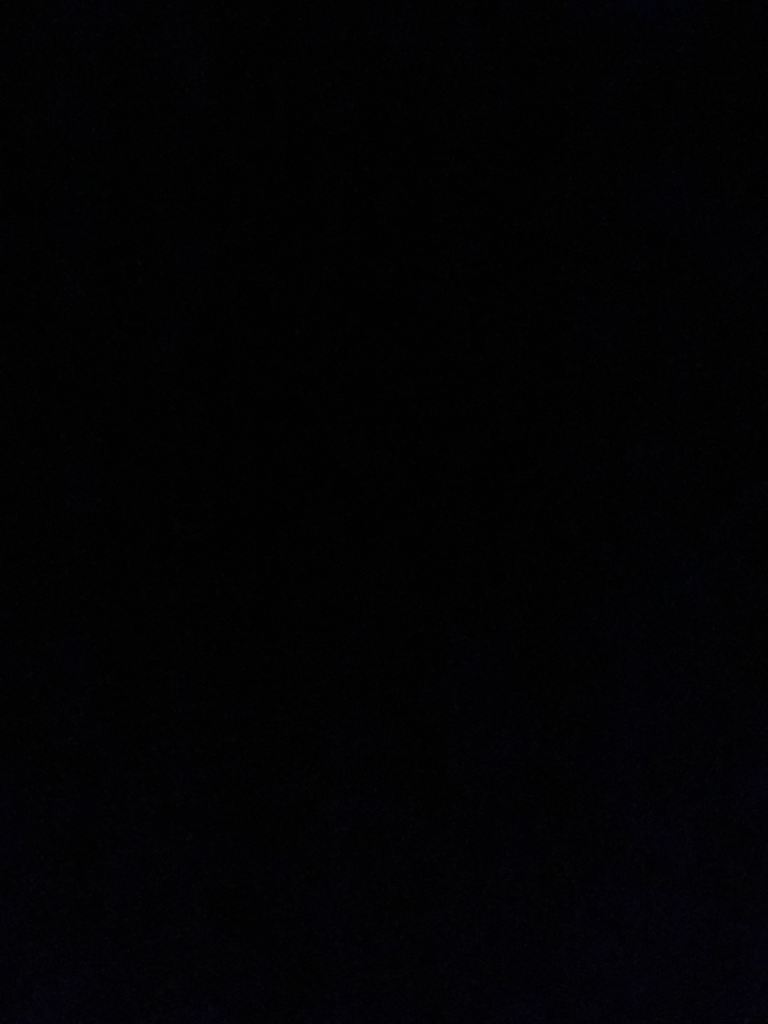 British Shorthair Kittens