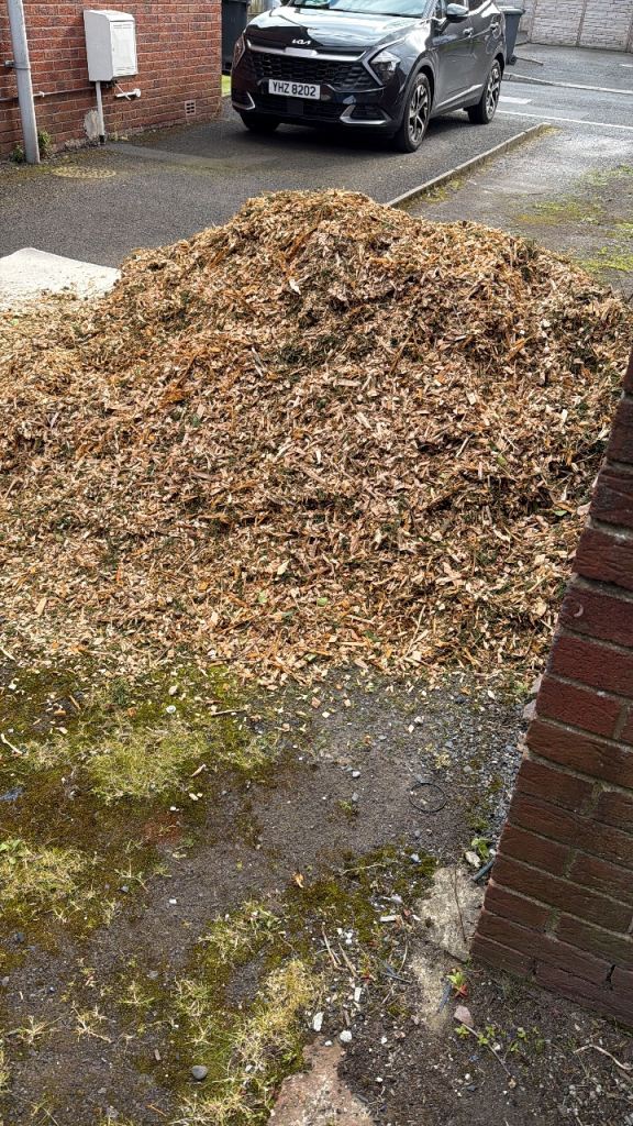 Large Pile of Fresh Wood Chips –£10 for Collection
