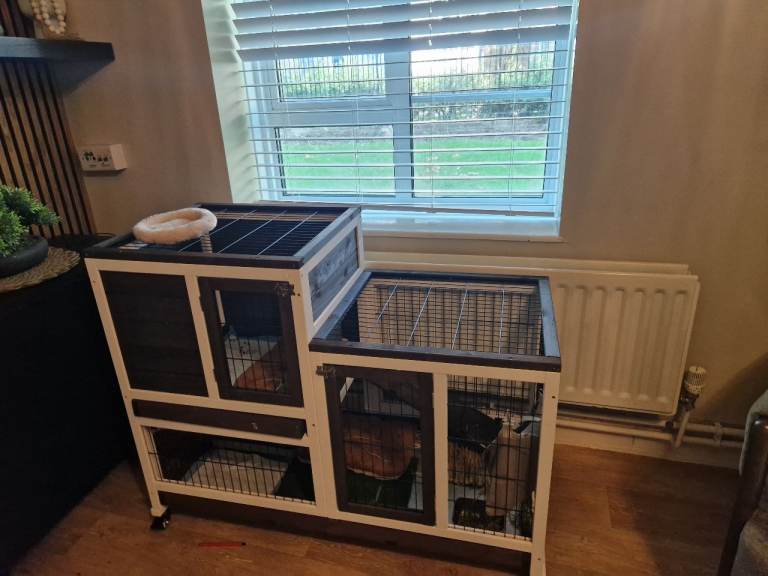 Rabbit Hutch 