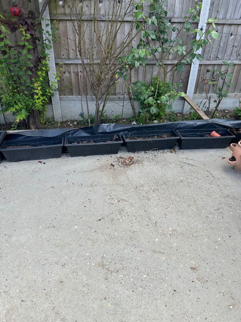 Garden long tray planter/pots, black £2 each 