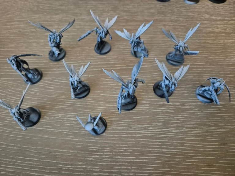 Warhammer 40k Vespid Stingwings Killteam