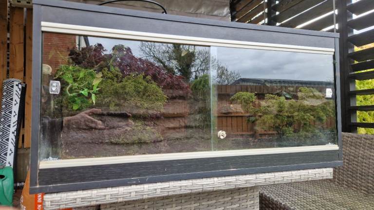 Used black reptile vivarium