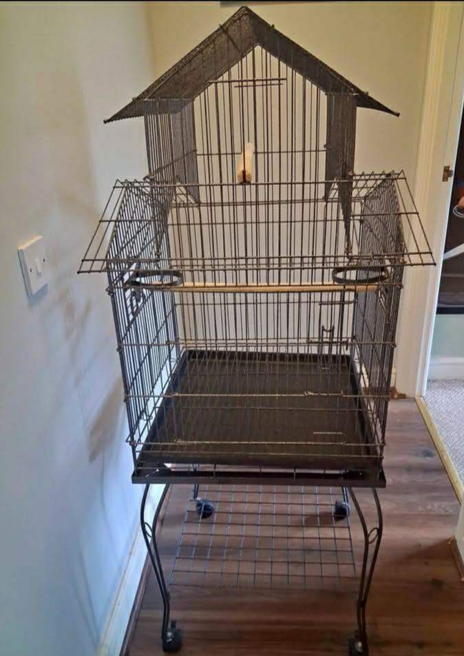 Birds cage