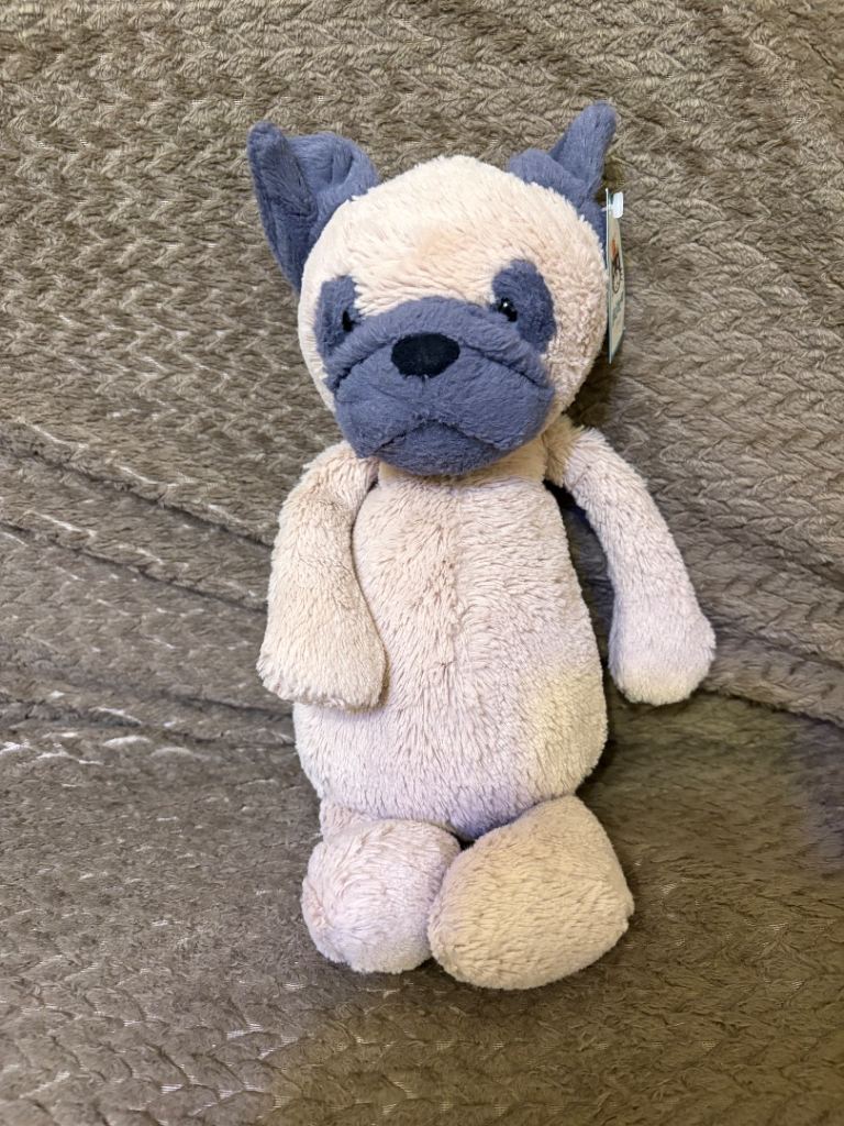 Retired Jellycat bashful Pug