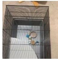 Indoor cage 
