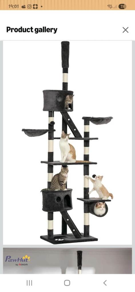 Brand new cat tree