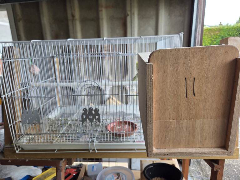 Breeding cages