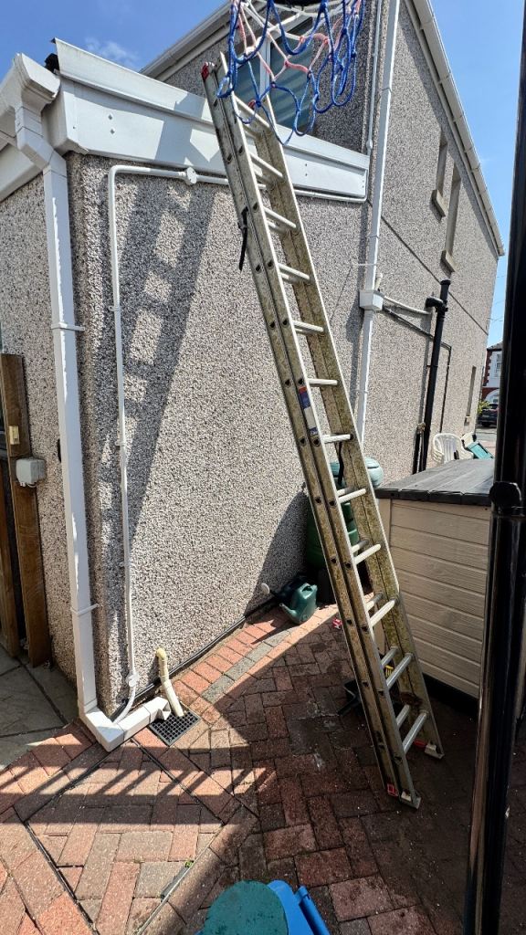 Extension Ladder - fir condition