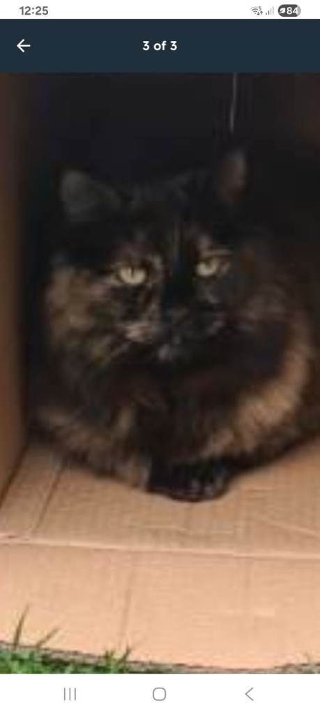 £300 reward for information 