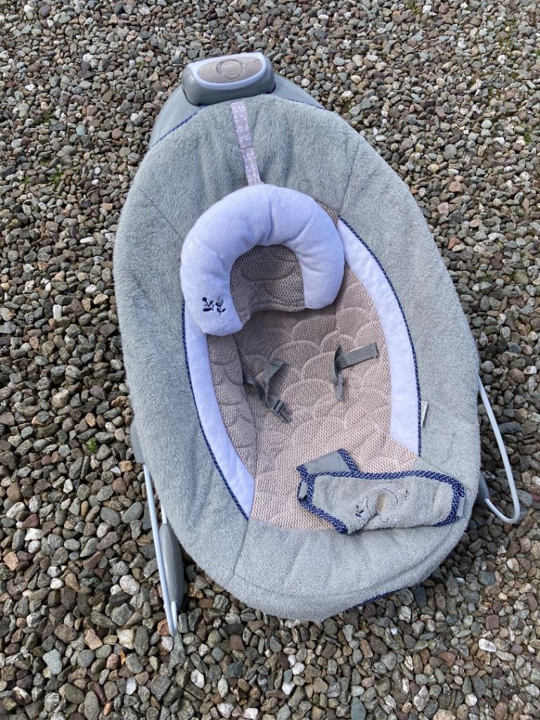 Ingenuity Baby Bouncer