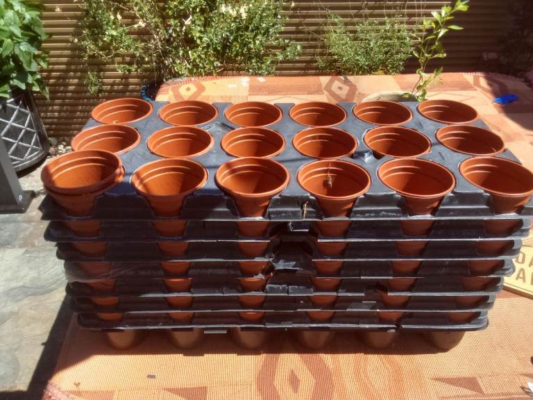 Shuttle trays 75mm pots