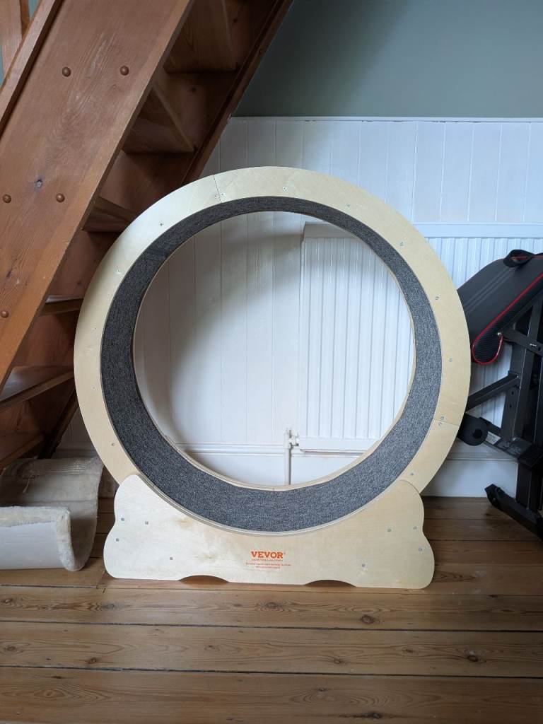 cat wheel