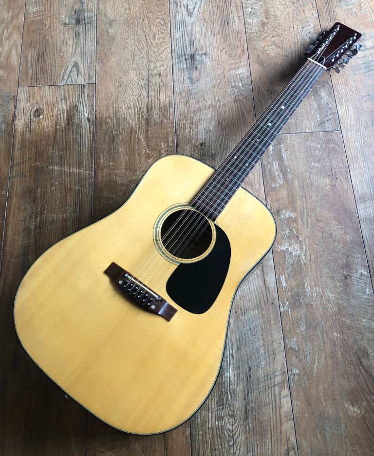 BM Maverick 12 string acoustic guitar for sale