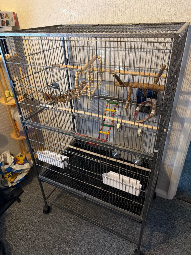 Large bird cage 