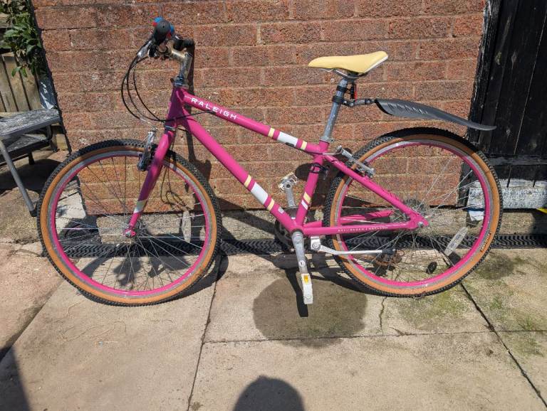 Raleigh kids bike