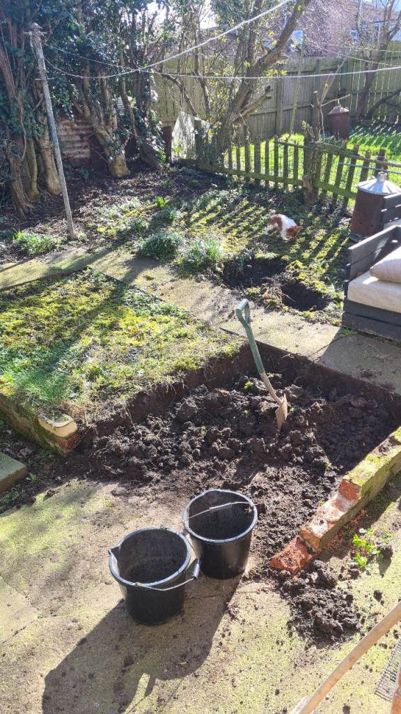 Free topsoil