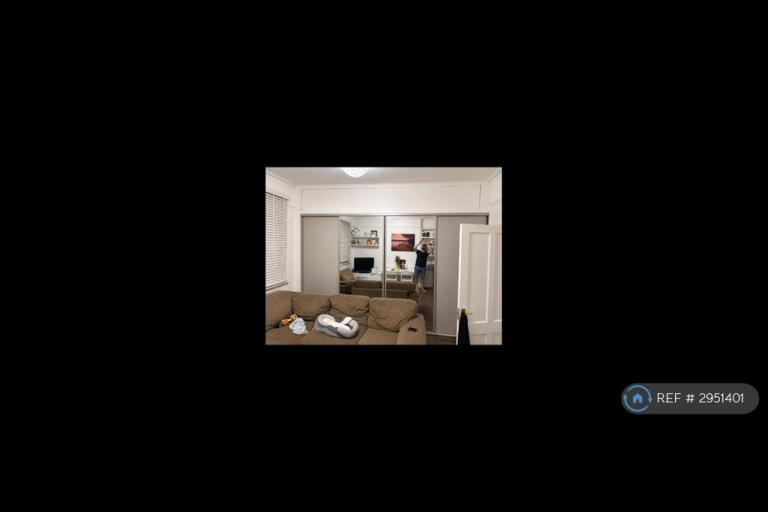 1 bedroom flat in Wimbledon Park, Merton, SW19 (1 bed) (#2951401)