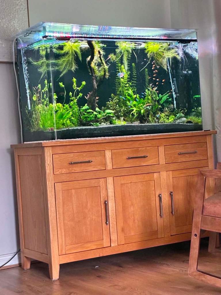 4ft fish tank and stand 