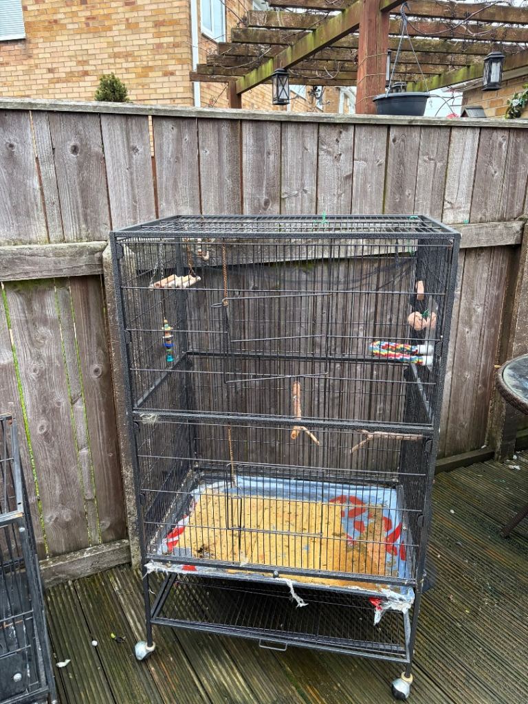 Parrot Cage 