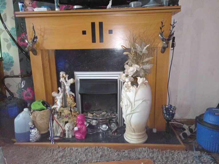 Free fireplace and fire