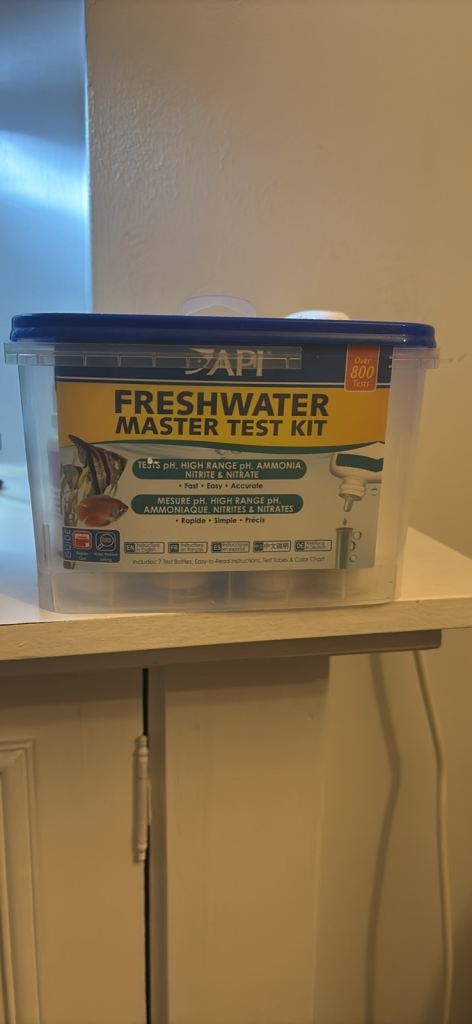 Tropical fish and aquarium tank