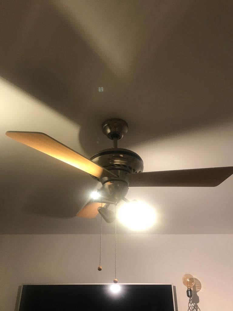 Ceiling Light/Fan