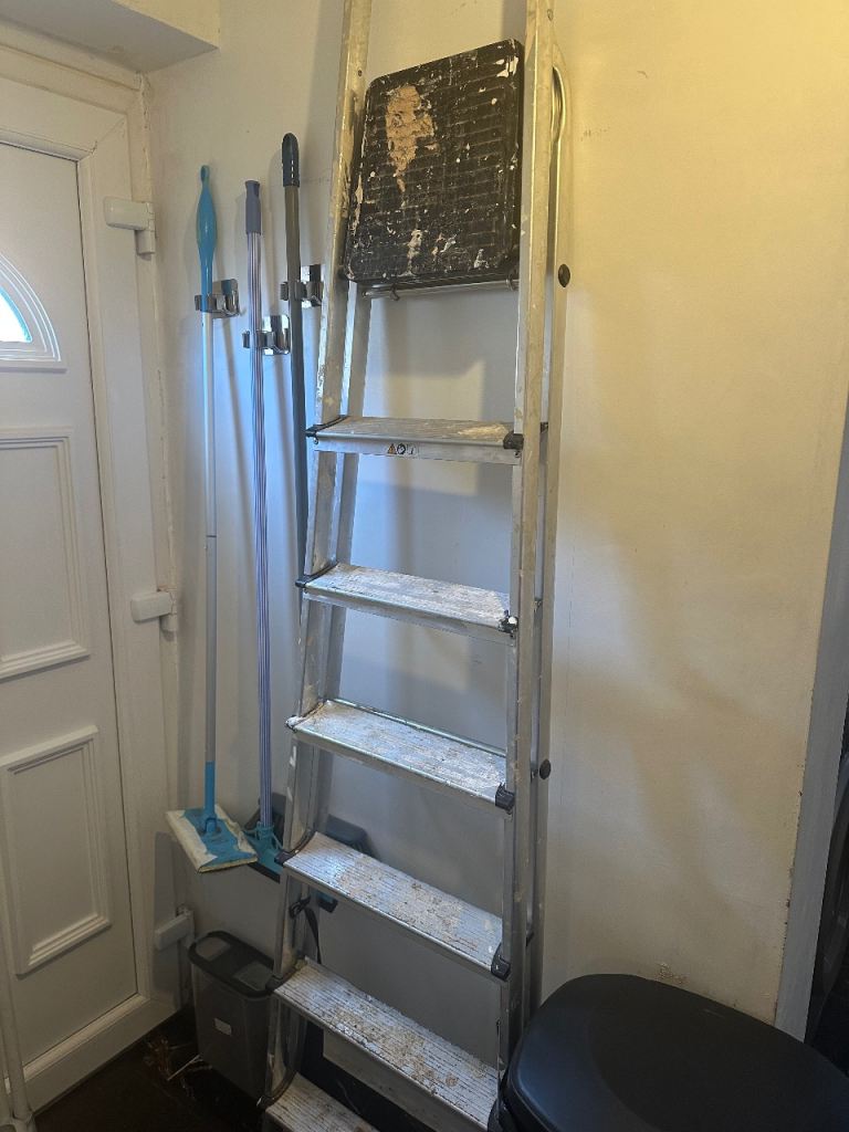 6 Step Ladder