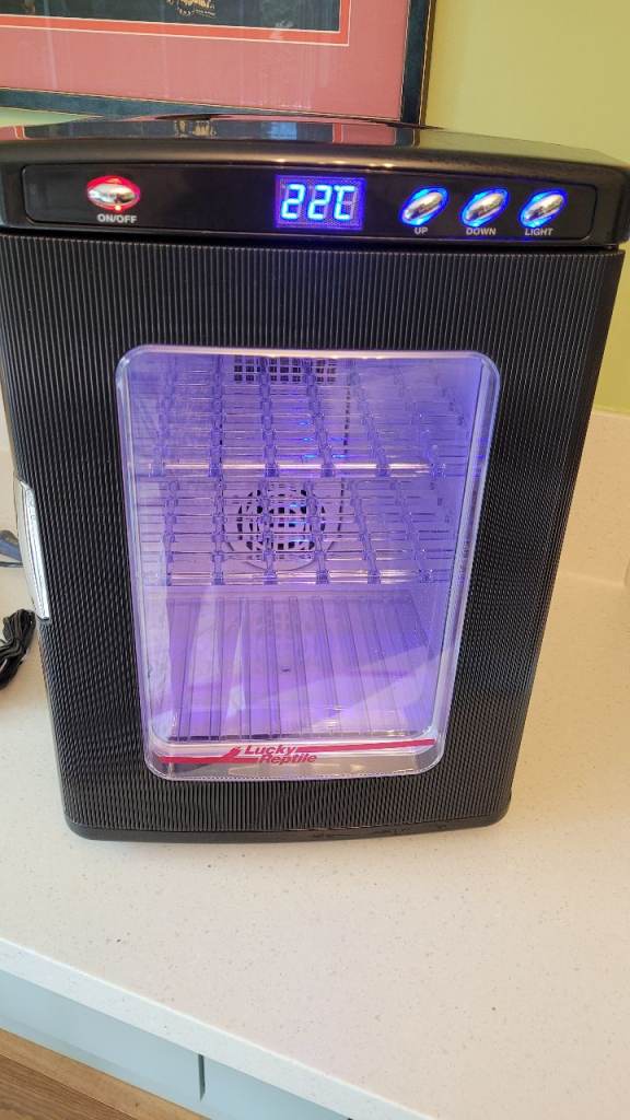 Herp nursery incubator