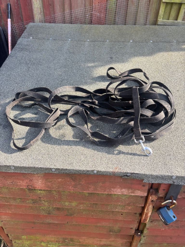 Dog training lead 