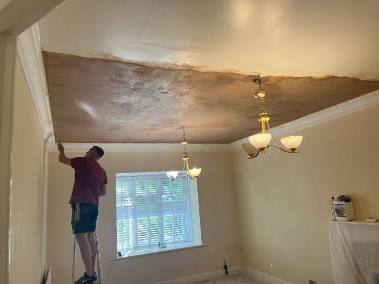 🫟Brighter-Days-Painters🫟