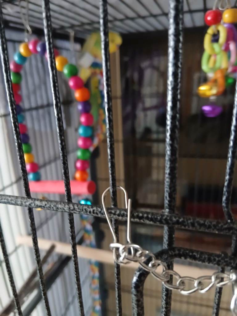 Large bird cage wheels