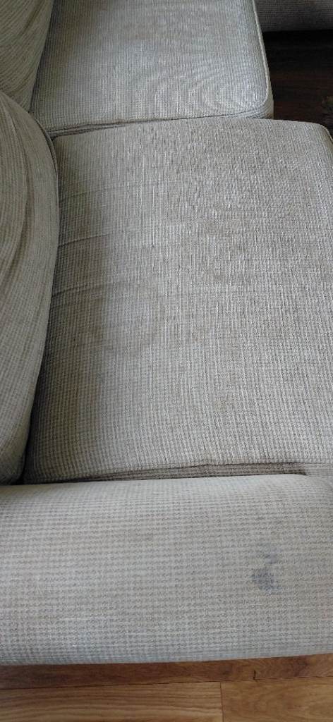 Carpet cleaner