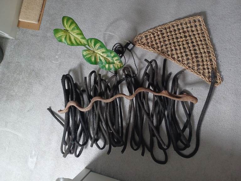 Reptile vines, dripper, hammock and branch
