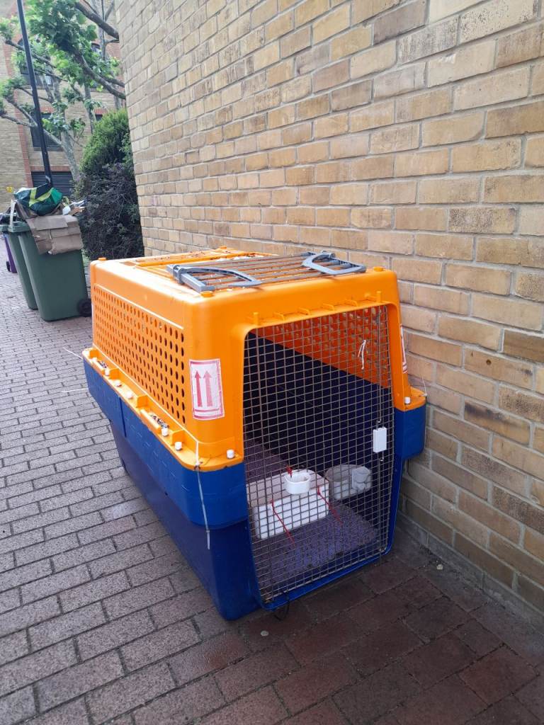 PP100 / PP90 IATA Airline Approved Kennel Crate for XL Large Dog (52"x31"x39"),london,wapping 