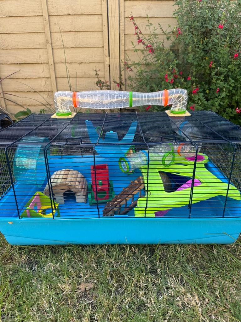 Large hamster cage and accessories 
