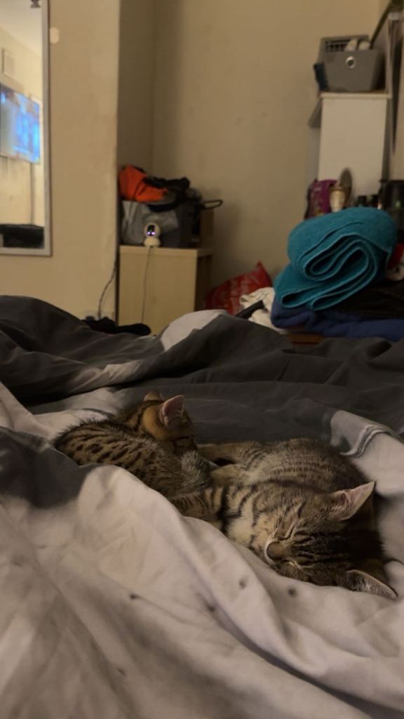 2 male brothers