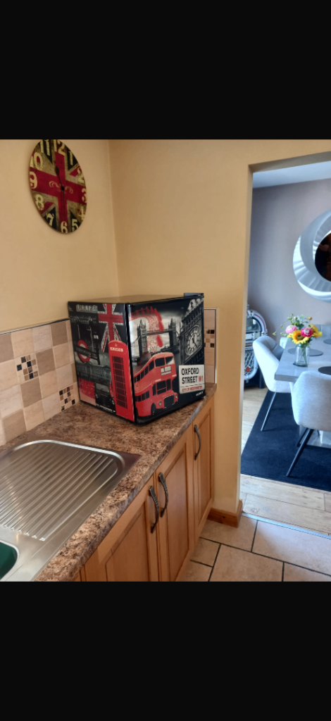 Husky fridge (London themed) £89