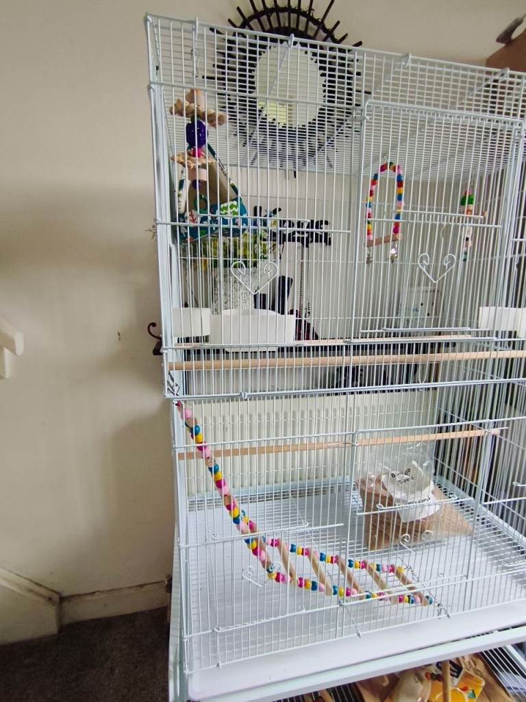 Bird cage & Stand 