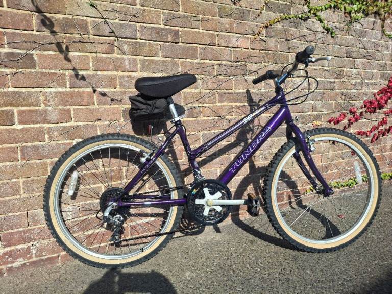 Girl's bike 24 inch wheels 
