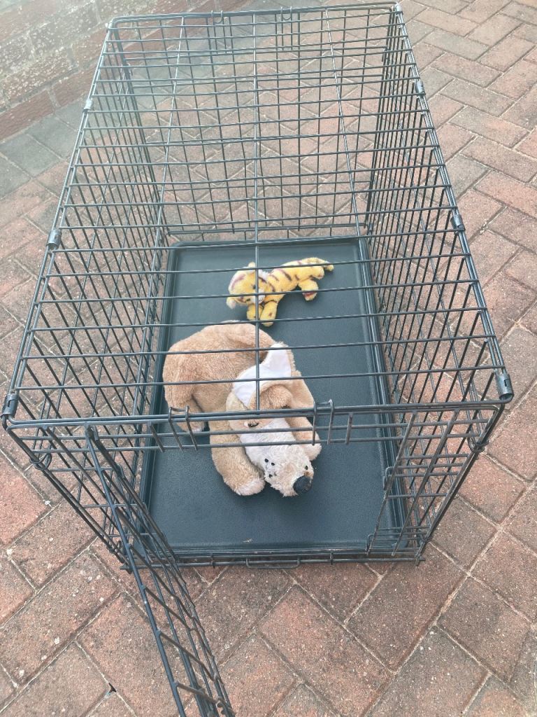 Large Folding Dog Crate