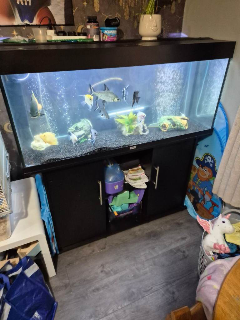 4 foot tank and stand