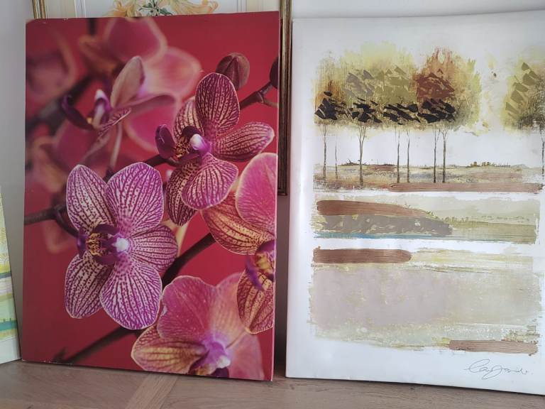 Various medium to large canvas pictures art work 