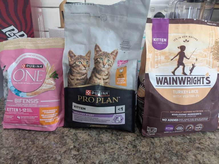 Free Kitten Biscuits